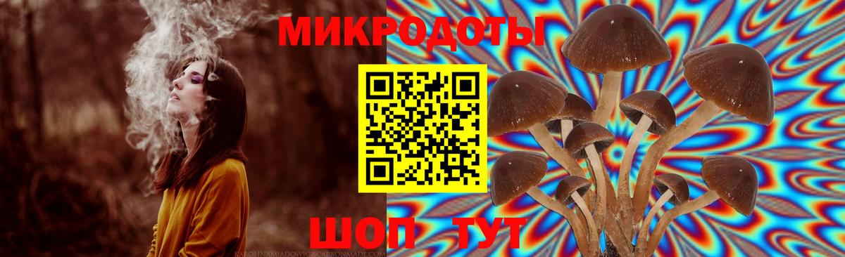 Галлюциногенные грибы Cubensis  Псилоцибиновые грибы ЛСД  Вход с VPN  Унеча 